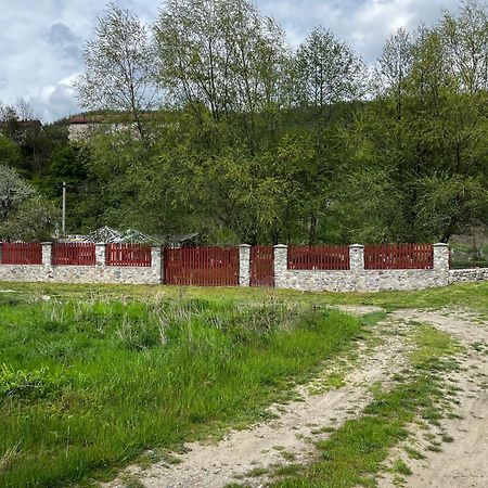 La Gradina Hotel Mehadija Buitenkant foto