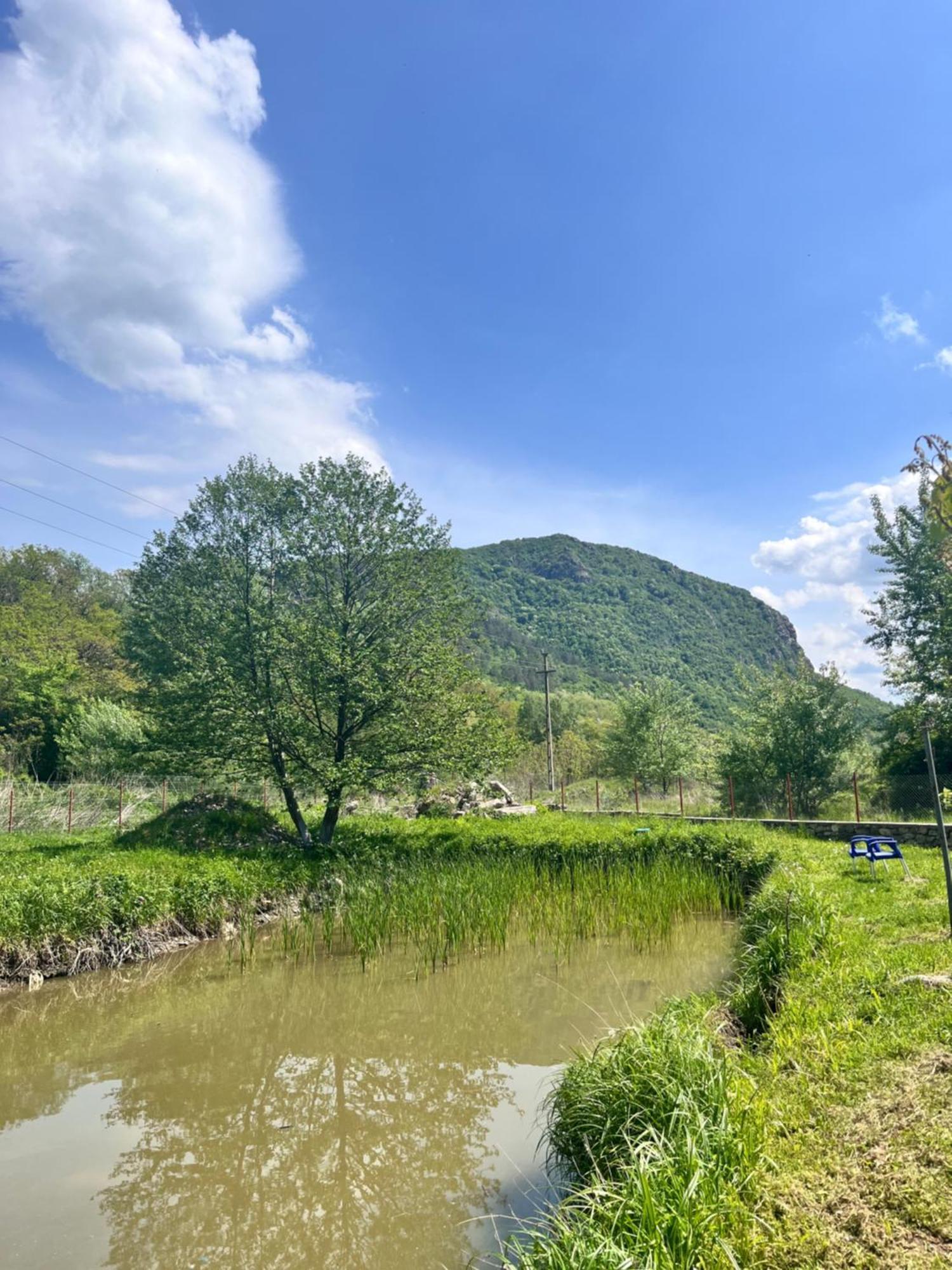 La Gradina Hotel Mehadija Buitenkant foto
