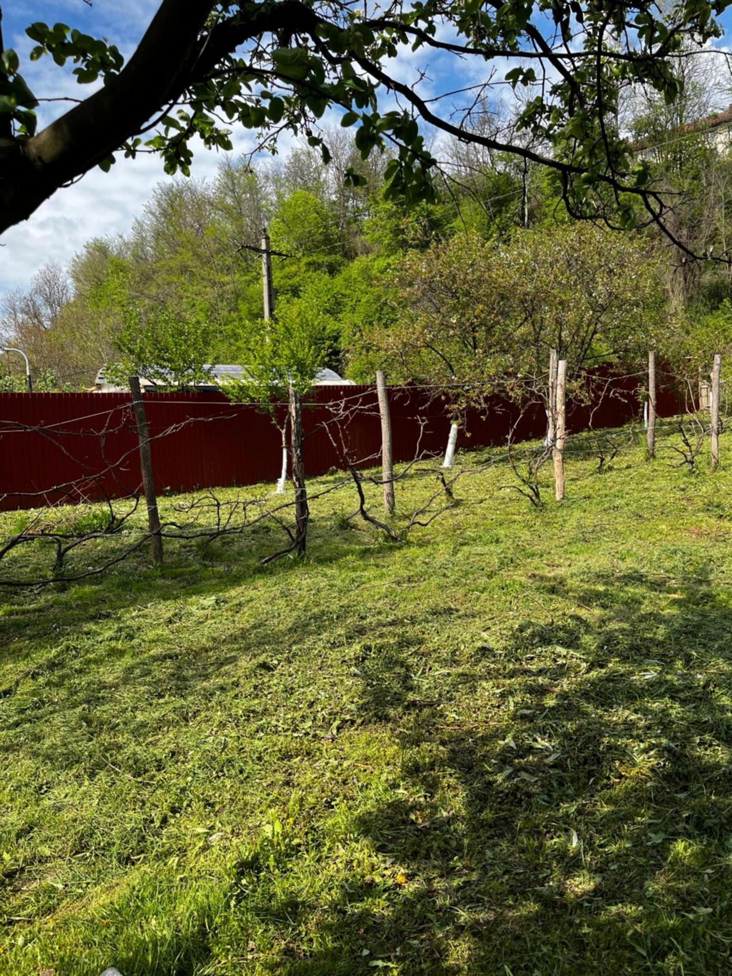 La Gradina Hotel Mehadija Buitenkant foto