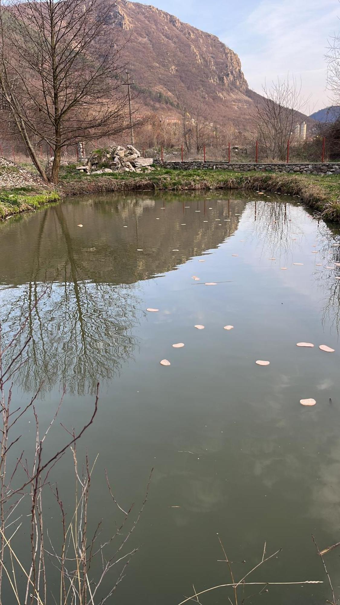 La Gradina Hotel Mehadija Buitenkant foto