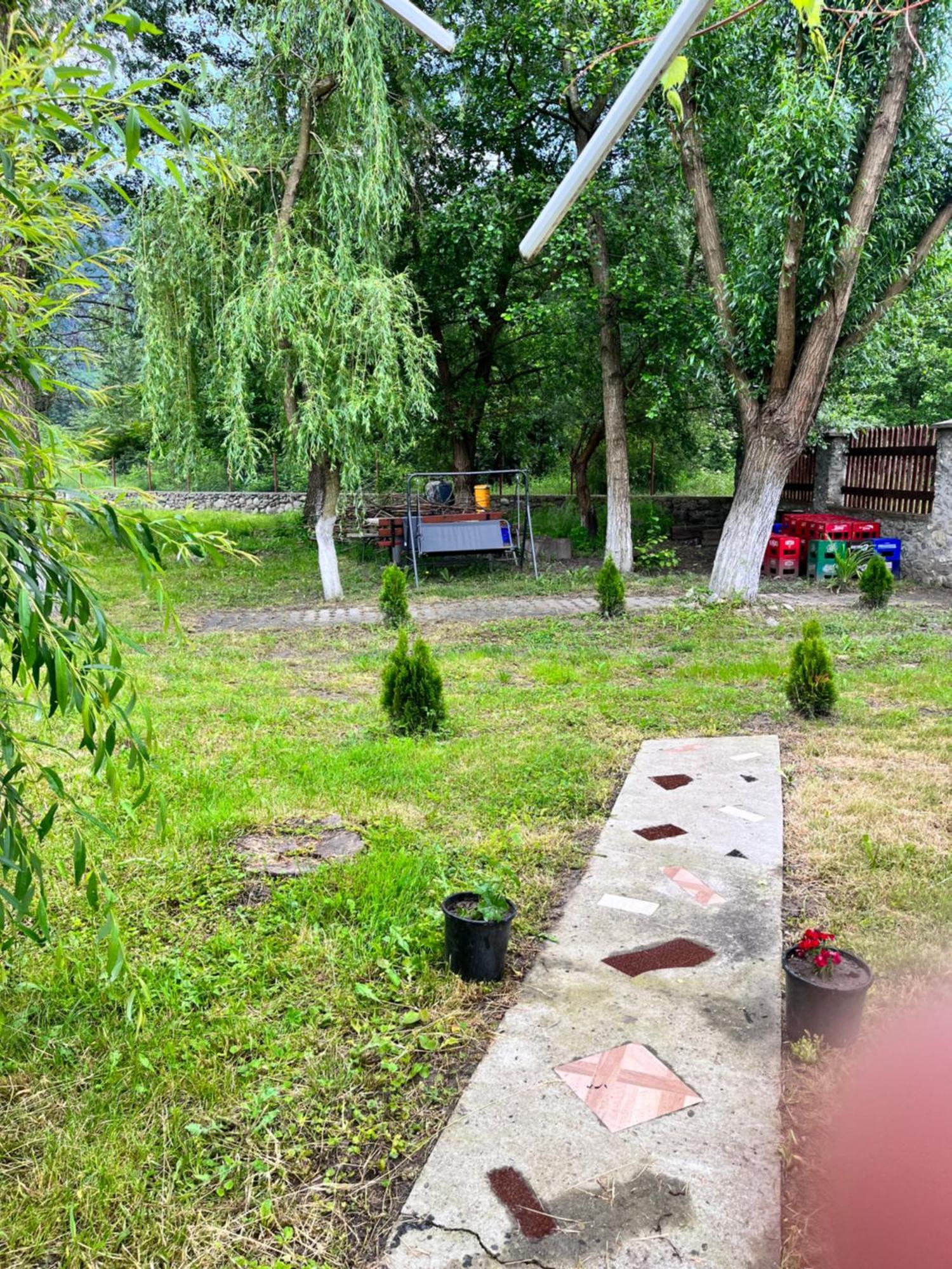 La Gradina Hotel Mehadija Buitenkant foto