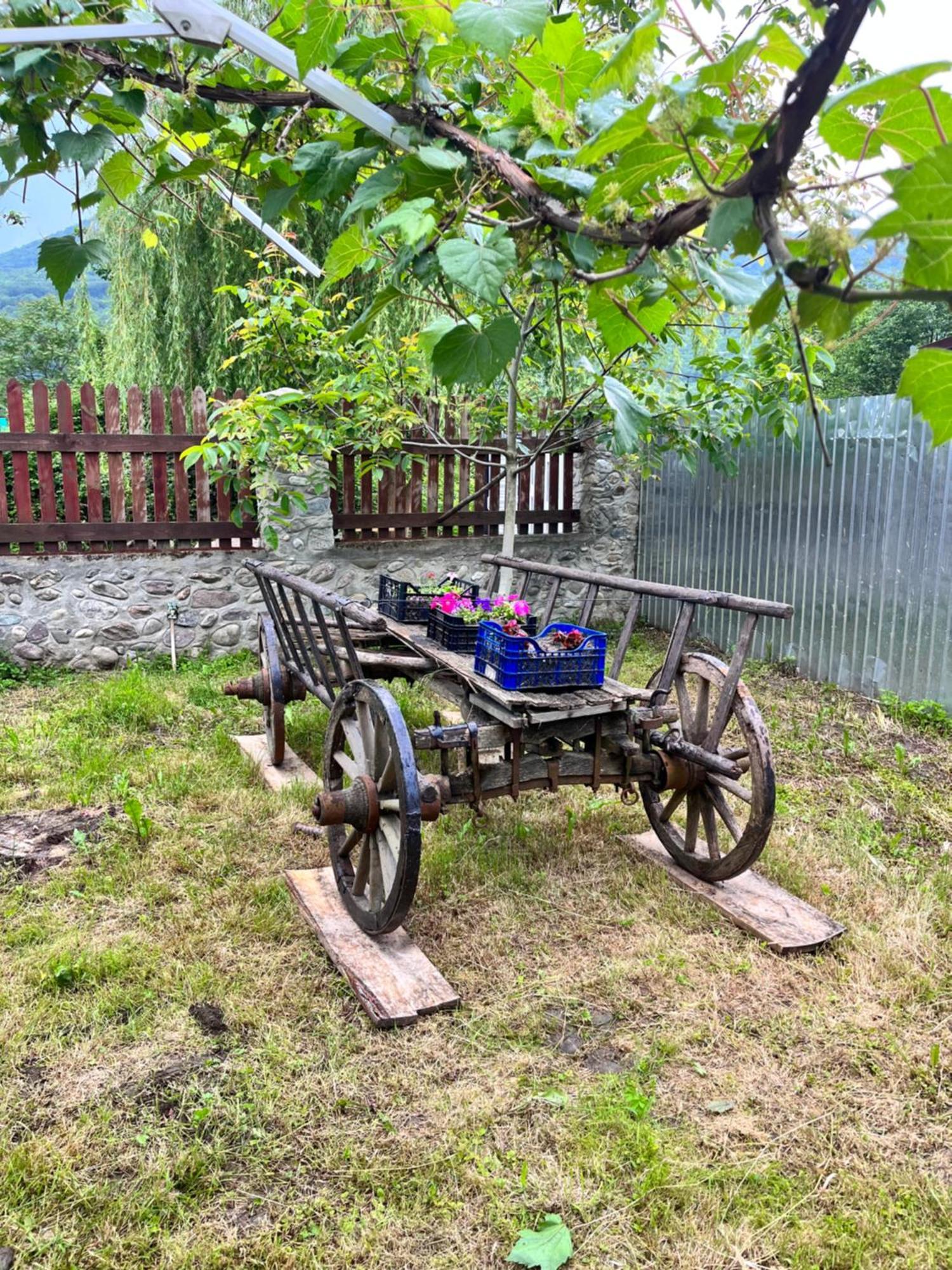 La Gradina Hotel Mehadija Buitenkant foto