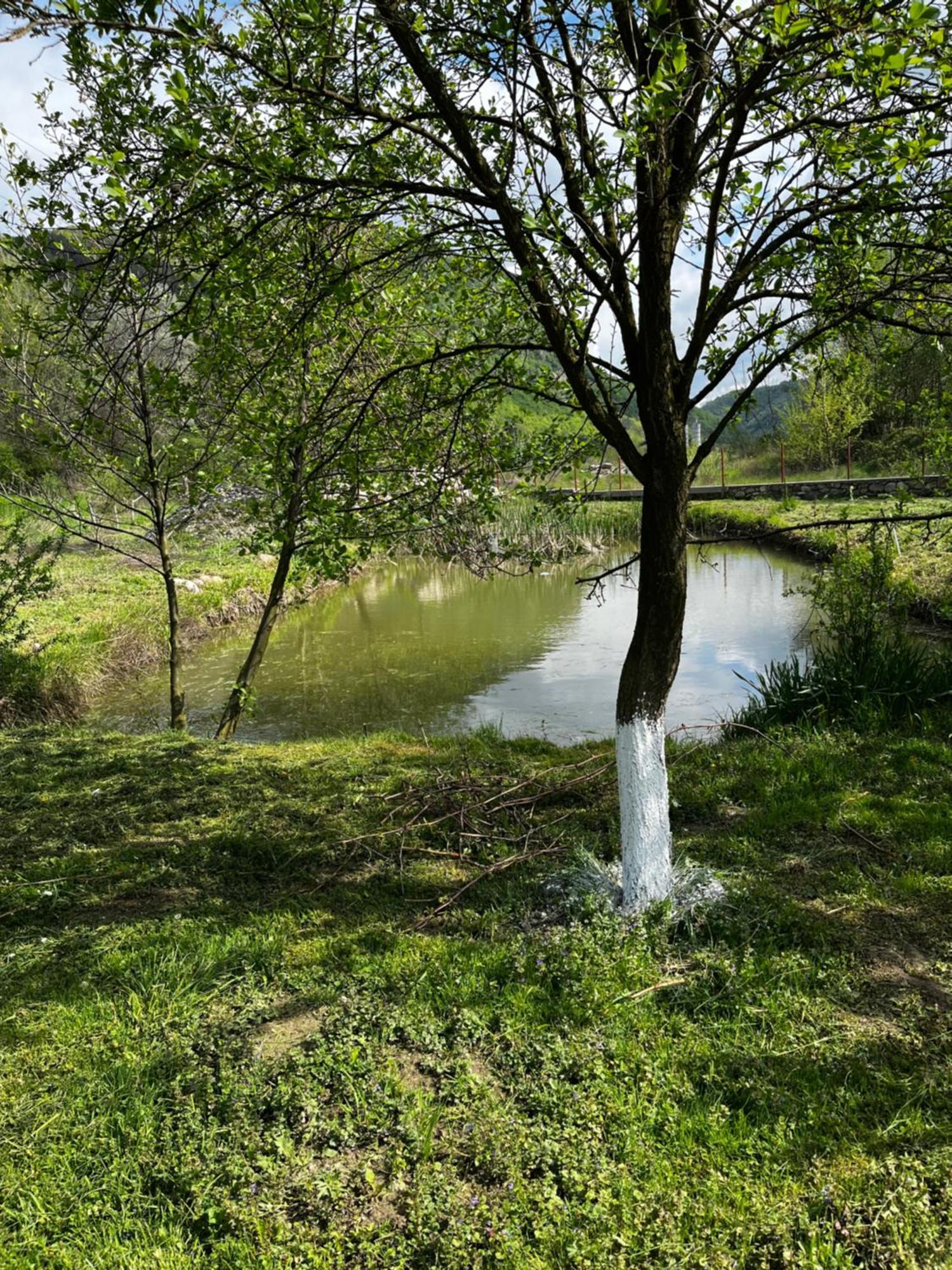 La Gradina Hotel Mehadija Buitenkant foto